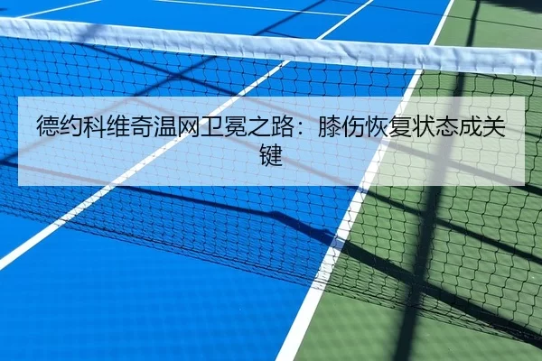 德约科维奇温网卫冕之路：膝伤恢复状态成关键