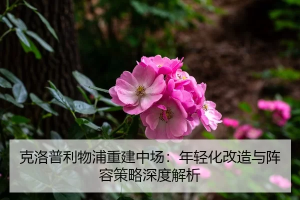 ke-luo-pu-li-wu-pu-chong-jian-zhong-chang-nian-qing-hua-gai-zao-yu-zhen-rong-ce-lve-shen-du-jie-xi-3-367.jpg